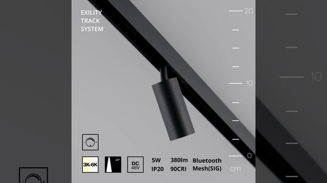 Светильник Maytoni Exility Focus LED TR032-4-5W3K-S-DS-B смотреть онлайн