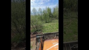сгонял на заказ 😐участок в хлам🙂,место болотистое не повезло,буксы муксы ..##рек #ярославль76 #JCB