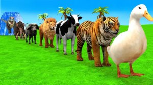 ШОК! 🐘🦁 Слон, Тигр и Горилла устроили БЕЗУМНОЕ катание! ЭТО НАДО ВИДЕТЬ!