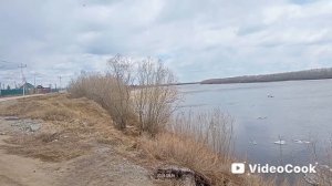 14-05-2026 паводковая ситуация в пригороде Якутска. Спасатели приготовили аэробот.