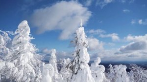 Время года Фазлыев Дамир