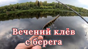 Спиннинг с берега. Вечерний клёв. Ловля щуки на спиннинг весной. Рыбалка на щуку. Спиннинг 2020.