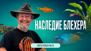 Наследие Блехера. Часть 1