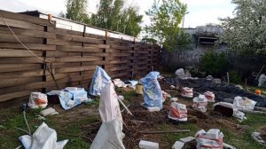 Спасаю свои растения от заморозков