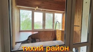 47497.mp4