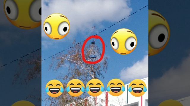Это возле школы🤣🤣🤣🤣🤣🤣 смотреть онлайн