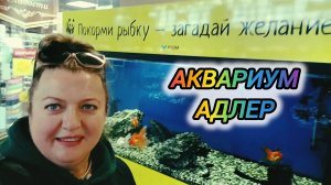 АКВАРИУМ ЖД ВОКЗАЛА АДЛЕРА