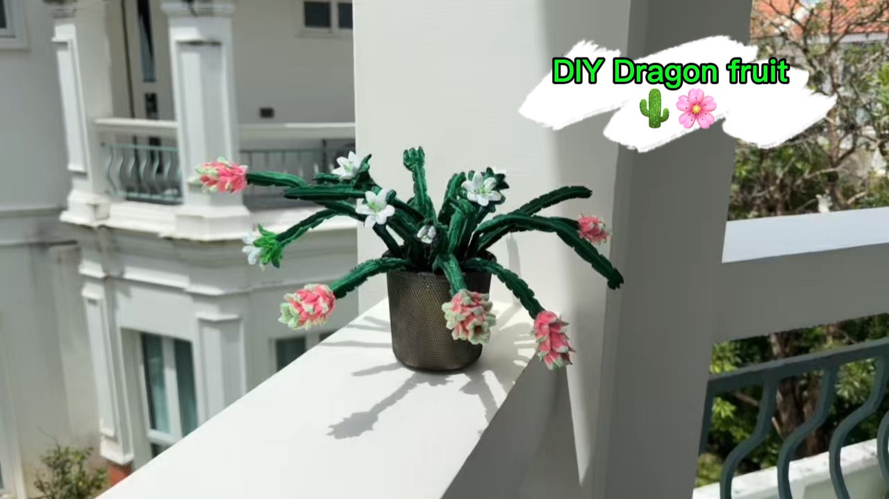 Милое растение Драгон фрукт ( Питахайя) из пушистой проволоки 🌵🌸