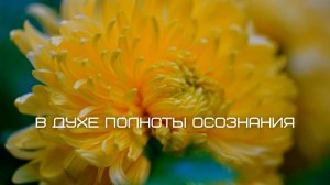 В духе полноты осознания. Часть 11. Джон Кабат-Зинн аудиокнига
