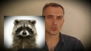 Енот бандит о Подоляке.
