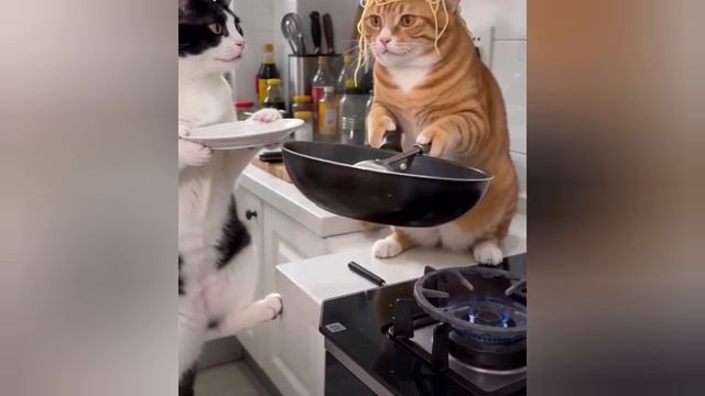 хорошее настроение 🤣