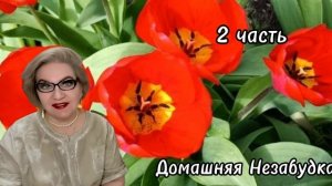 2 часть. Тупой и ещё тупее🤣❗️Приключения еб семейки❗️