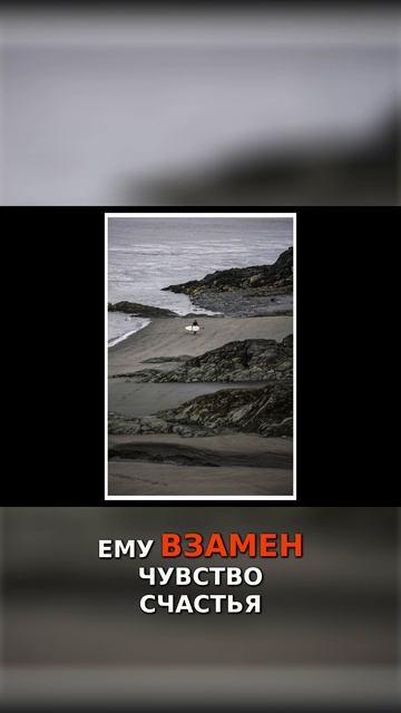 История любви к волне! смотреть онлайн