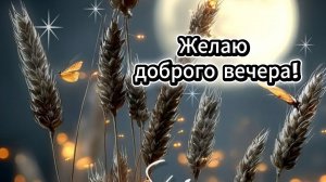 Добрый вечер: желаю доброго вечера и открытка | Домохозяйка