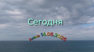 Анапа 14.05.2026 Сегодня
