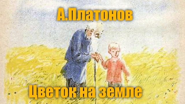Цветок на земле смотреть онлайн