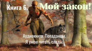 Аудиокнига «Мой закон» Книга 6. Фэнтези. Попаданцы.