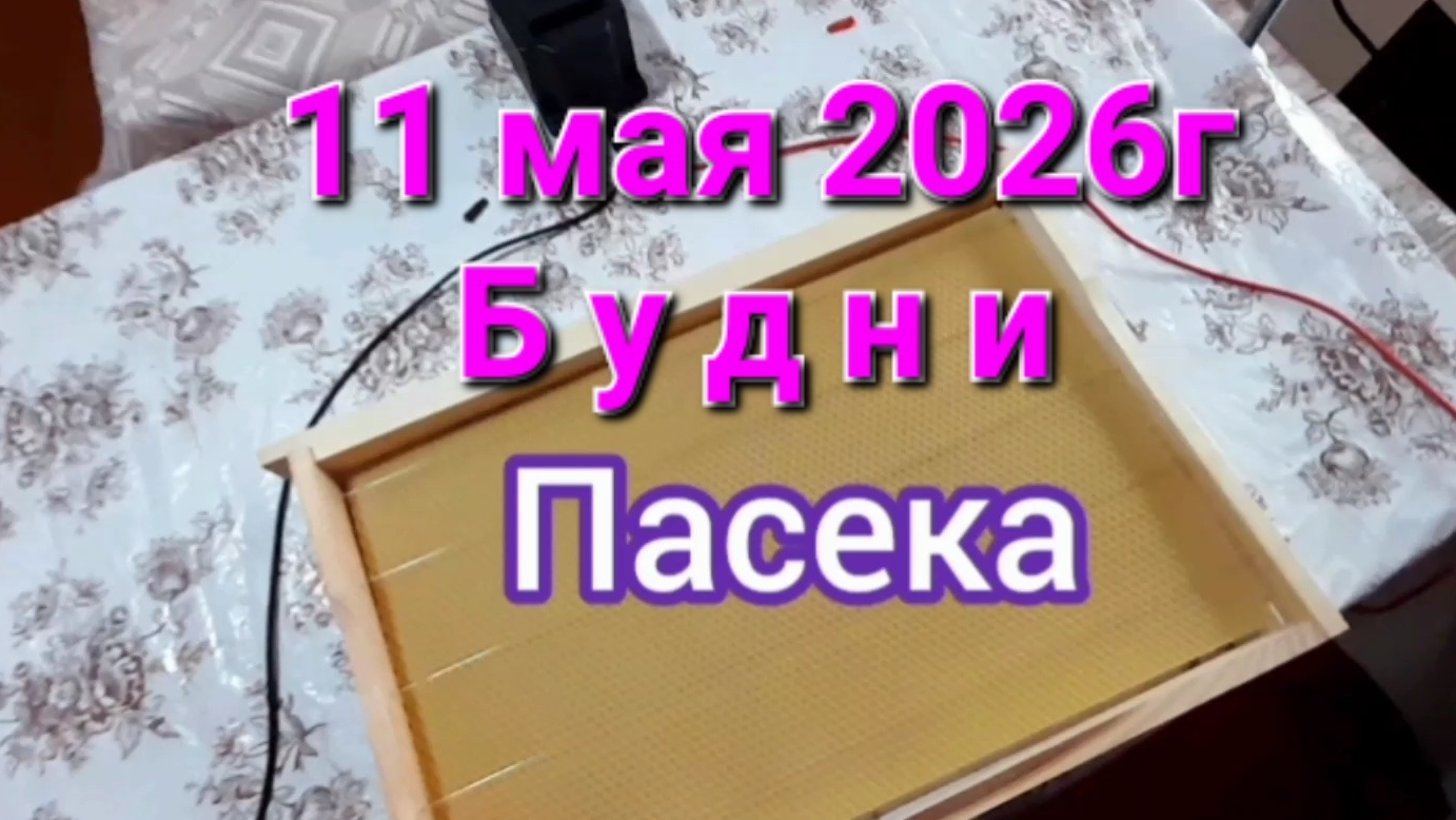 11 мая Будни.Пасека.