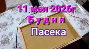 11 мая Будни.Пасека.