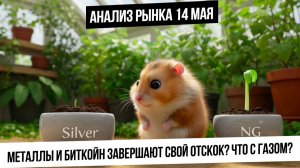 Анализ рынка 14 мая. Рынок РФ продолжит рост? Металлы и биткоин пойдут в коррекцию? Что с рублем?