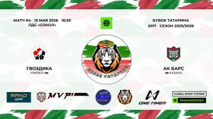 16:30_Гвоздика — Ак Барс