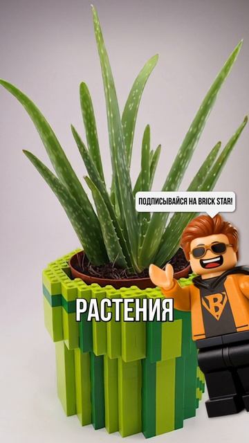 Это лучший способ использования Лего для дома! Узнай в новом видео!