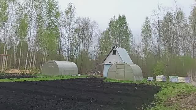 КАК ЭТО ВСЕ СЛОЖНО 🫂 КТО - БЫ  ЗНАЛ 🐝🐝🐝