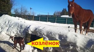Оказывается на улице страшно-2