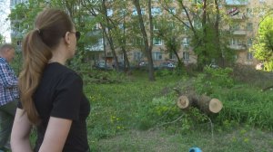 В Серпухове выявили недостатки по содержанию территорий