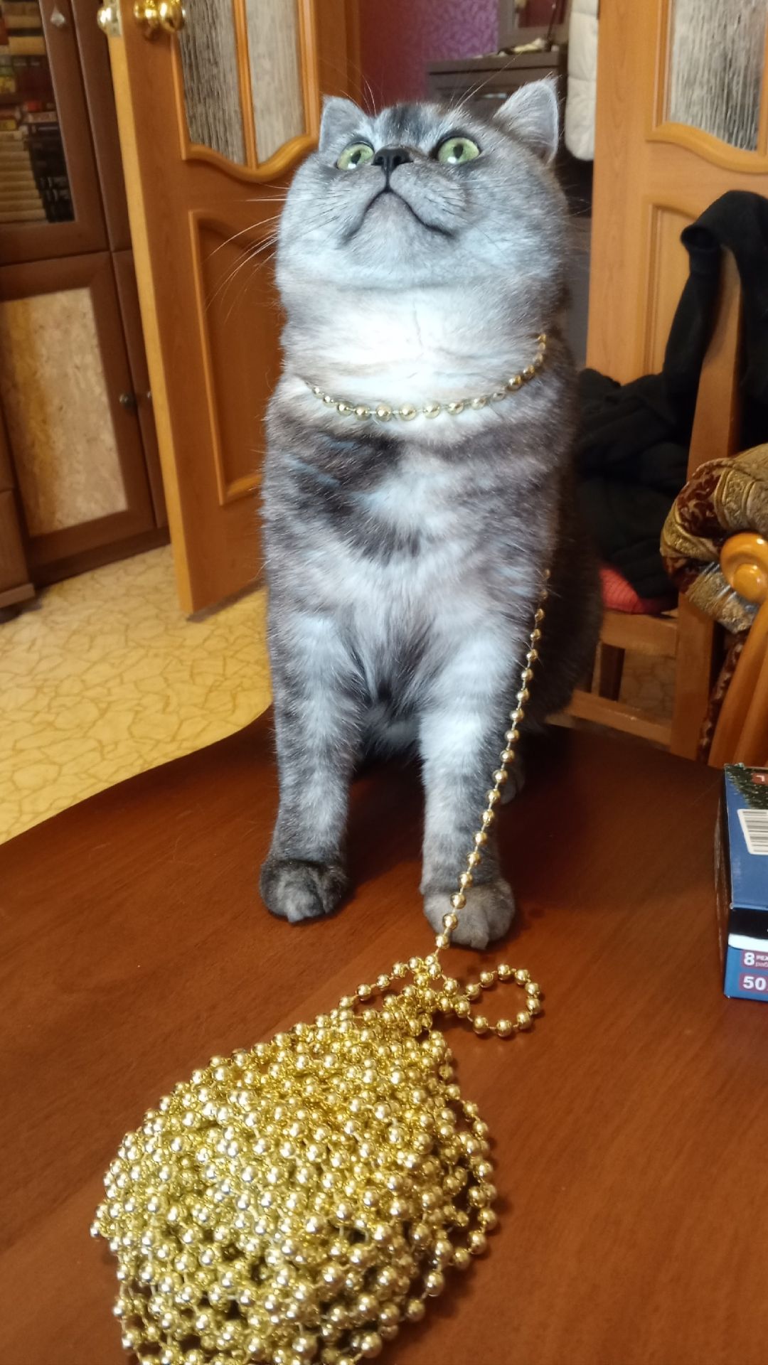 Ограбление века🐱💨