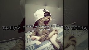 ТАНЦУЙ ЕСЛИ ЗНАЕШЬ ЭТОТ ТРЕНД-2026 ГОДА 💕🎀🤪