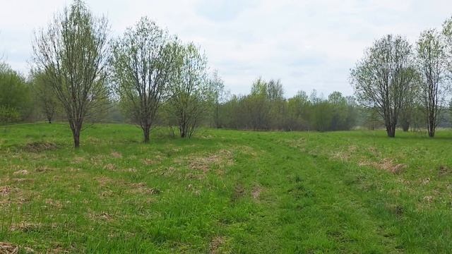 Уч
асток д. Михайлово смотреть онлайн