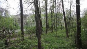 Территорию  у дома 2 по ул. Трудовая в Подлипках могут обновить в 2027 году