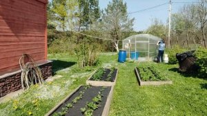 Бабушка косит траву.(2)