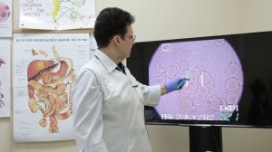 Как предупредить, вирусную инфекцию.