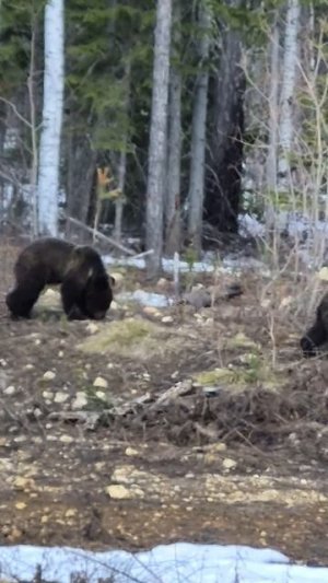 13.05.26 мне на память☺️🐻