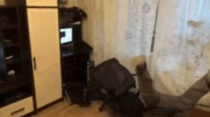 Бекрумс Эдит