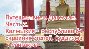 Путешествие в Дагестан. Часть 2. Калмыкия -республика бескрайних степей, буддизма и сайгаков