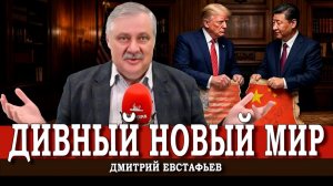 Китай не может — США не хотят, или В чём главный смысл визита Дональда Трампа в Пекин | Евстафьев