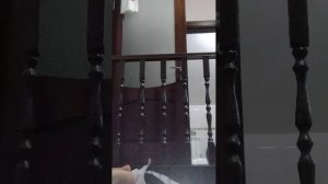 gyh