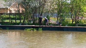 Поимка форели. РК Липки.