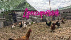 Дрессировщик.
