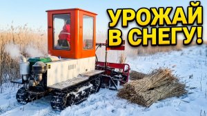 Самоходная сноповязальная машина для технической конопли, камыша, льна #комбайн  #травы #конопля