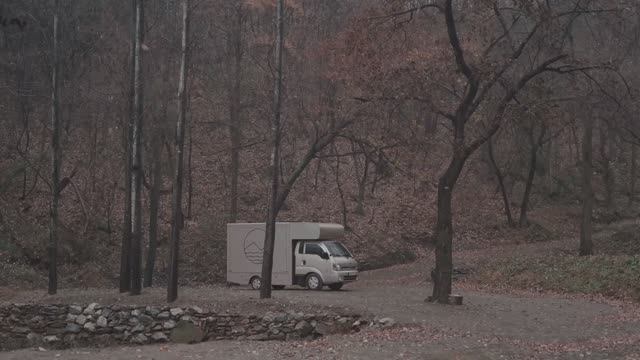 ⛈️ Уютный кемпинг под дождем в грузовике с собакой у дождливого озера.АСМР