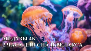 Медузы 4K • 2 часа подводного эмбиента для сна и релакса