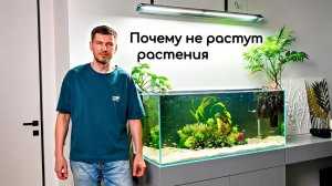 Почему не растут растения. Две главные ошибки