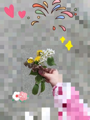 мой день
