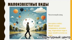 С весной и «соседей» больше!