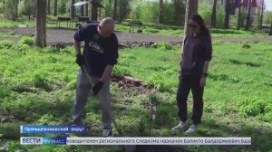 На Танае высадили кедры в память об участниках ВОВ