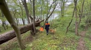 Как спасают жизни в лесу?